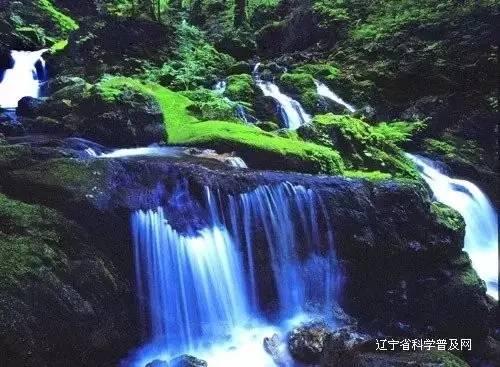 探寻知识星球平台别人说淡定怎么幽默回复?的魅力